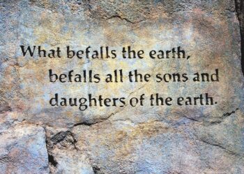 Embrace the Journey: Inspiring Spiritual Growth Quotes to Elevate Your Soul