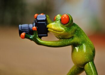 Laughing Through Life: A Collection of Lighthearted Quotes to Brighten Your Day