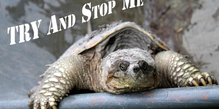 Unleashing the Power Within: Inspiring Success Mindset Quotes to Fuel Your Journey