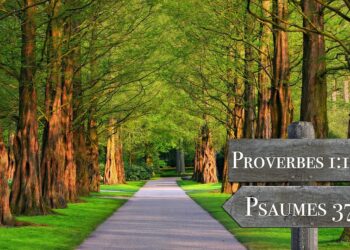 Rise and Shine: Inspirational Quotes to Awaken Your Mind and Soul