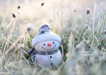 Laughing and Learning: The Power of Humorous Wisdom