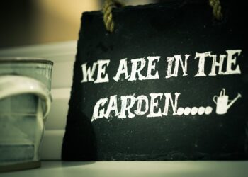 Words of Wisdom: Unforgettable Quotes from History’s Greatest Scientists